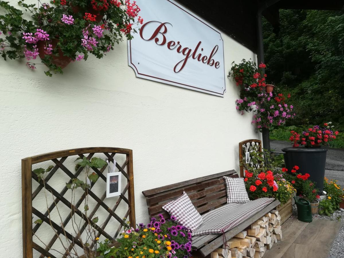 Haus Bergliebe Otel Filzmoos Dış mekan fotoğraf